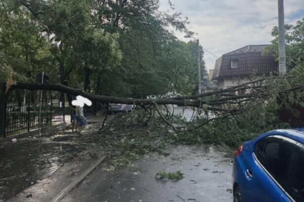 bilant igsu dupa furtunile care au lovit romania 3 oameni au murit 240 de copaci doborati de vant si 73 de masini avariate in 78 de localitati din 18 judete 68a983f3db38d