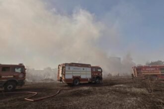 incendiu de vegetatie in sectorul 6 a fost emis un mesaj ro alert foto video 68b05b29400e8