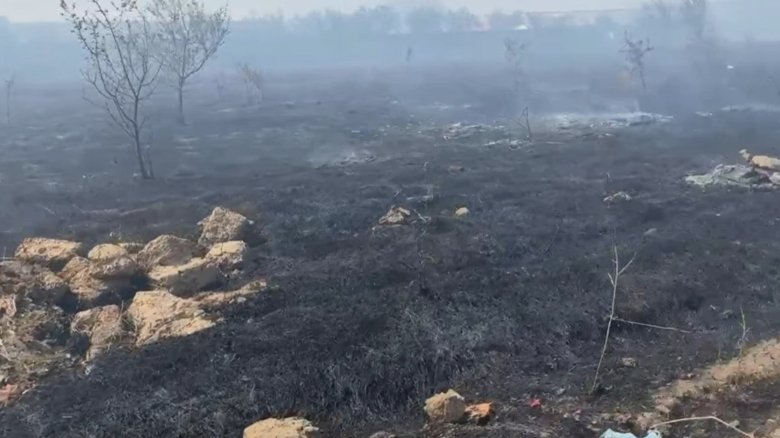 incendiu urias de vegetatie la periferia craiovei autoritatile au emis un mesaj ro alert video 68ab133dc78d6