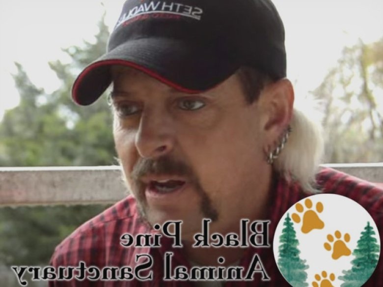 Joe Exotic acuză sanctuarul de animale de sterilizarea nejustificată a tigrișorilor 1 joe exotic sues animal sanctuary for allegedly spaying neutering tigers 68b21816c554f