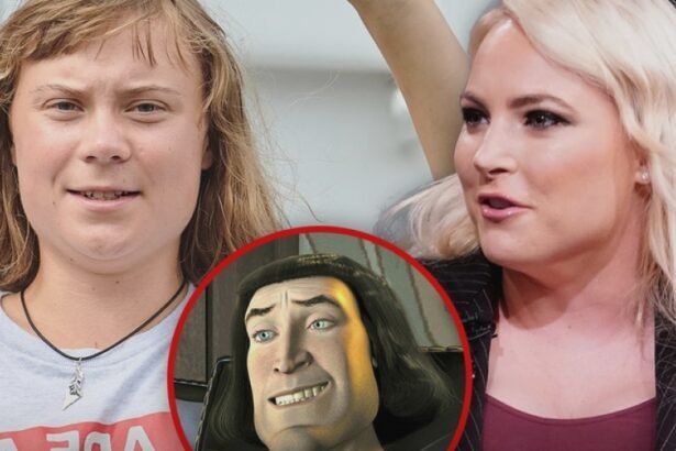 meghan mccain roasts greta thunbergs hair says she looks like lord farquaad 68b4a328766fa