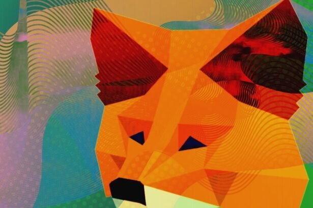 metamask launches social login feature using google and apple accounts for wallet access 68ae36c78f3a2