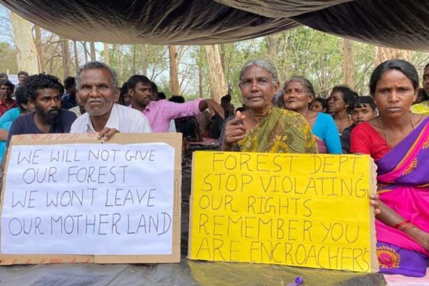 people v tigers evicted indian tribe camp in reserve to reclaim ancient lands 68ad6aa76739e