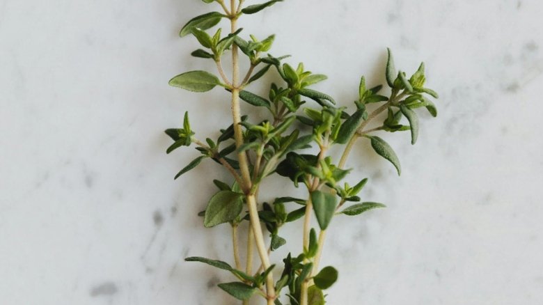 planta medicinala recomandata pentru a trata raceala si durerile in gat actioneaza ca un antibiotic natural 68afe51094617