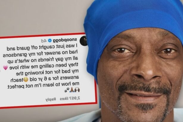 snoop dogg says he isnt homophobic asks people to help teach him 68b48984e8e39