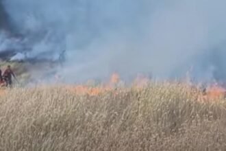 un nou incendiu de amploare ard 40 de hectare de vegetatie in buzau video 68ab4c603cd0a