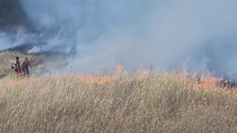 Incendiu devastator: 40 de hectare de pădure reduse la cenușă în Buzău 1 un nou incendiu de amploare ard 40 de hectare de vegetatie in buzau video 68ab4c603cd0a