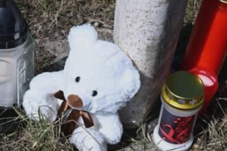 un roman din germania si a ucis logodnica apoi bebelusul intr un accident sinucigas doar fiica sa de doi ani a supravietuit 68ab12f66c6f9