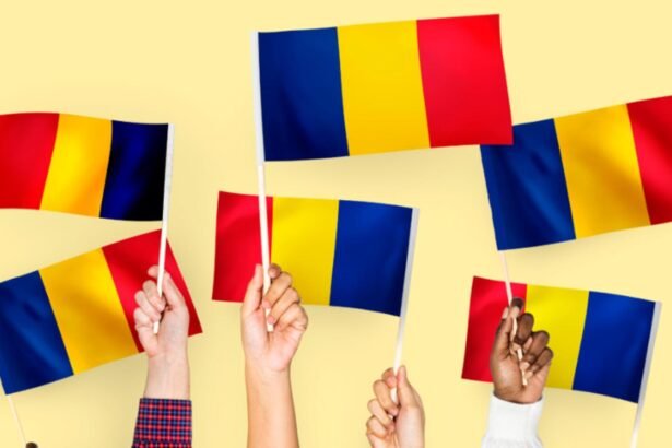 val de mesaje umoristice de la ambasadele straine de ziua limbii romane suna foarte delicios dar de fapt inseamna sa minti pe cineva 68b49d70299f8