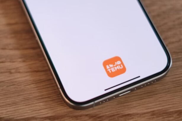 a facut o comanda banala pe temu si a ajuns sa plateasca o amenda uriasa ce anume nu le a convenit vamesilor 68c1994757e29