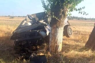 accident rutier mortal pentru un sofer de 18 ani a intrat cu masina direct in pom 68c7f29723e62