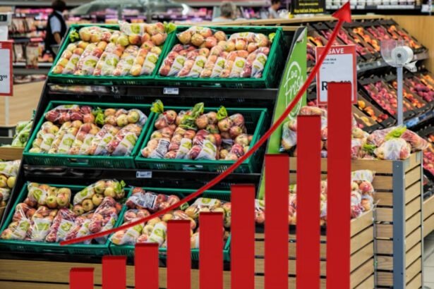 amenintarea unui fost ministru de finante daca nu continua plafonarea preturilor inflatia va depasi 15 68c818069b7df