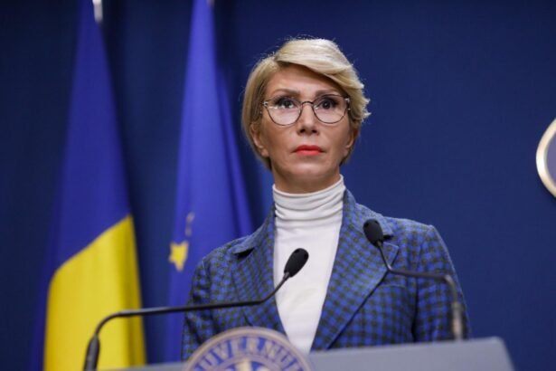 atacul sistemului disperat la adresa suveranistilor tupeul urias al ralucai turcan 68bd4afe84266