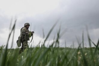 aur cere presedintelui romaniei referendum pentru misiunile de pace din ucraina 68baa2da83a64