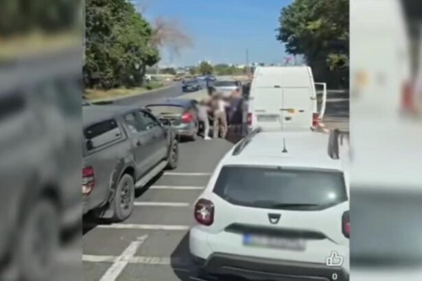 ca n vestul salbatic pe soseaua de intrare in constanta video 68bda293c1379