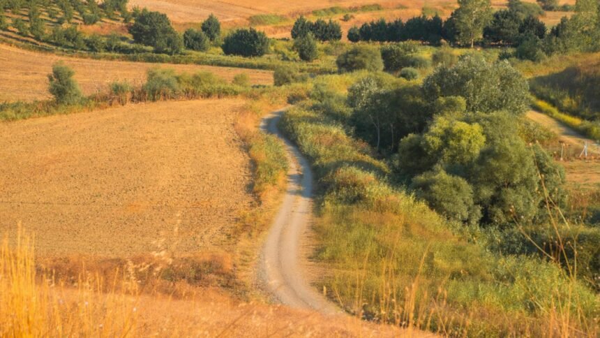 cand va avea loc echinoctiul de toamna si ce se va intampla din punct de vedere astral odata cu acest eveniment zodiile afectate 68c9233902186