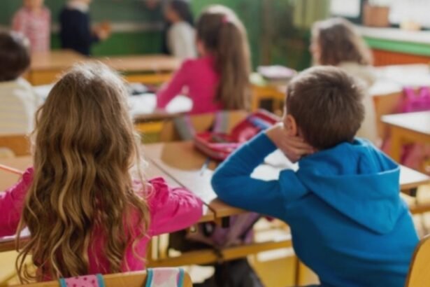 care sunt cele patru tipuri de burse care au ramas in picioare dupa austeritatea lui bolojan 68b996ac3179b