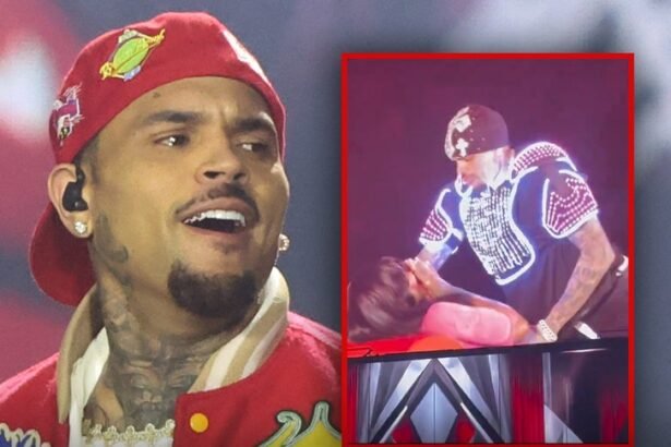 chris brown grinds on summer walker during steamy onstage performance 68d0045324e03