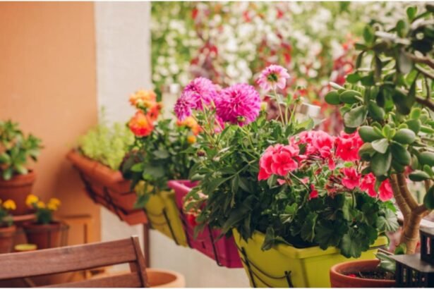 cum protejezi florile din balcon de inghetul timpuriu secretul gradinarilor cu eperienta pentru a le mentine sanatoase pana la primavara 68dc03b56fd73