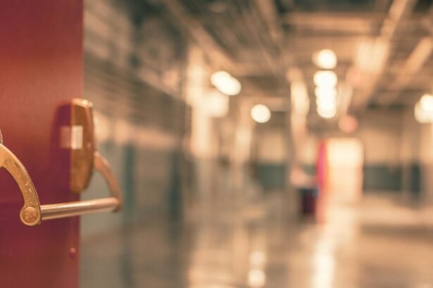 cum se manifesta bacteria marcescens si cum se transmite ce masuri au fost dispuse dupa ce sase copii au murit la iasi 68d6c389a8351