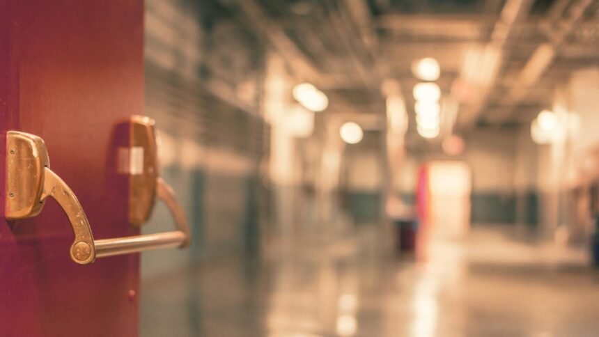 cum se manifesta bacteria marcescens si cum se transmite ce masuri au fost dispuse dupa ce sase copii au murit la iasi 68d6c389a8351