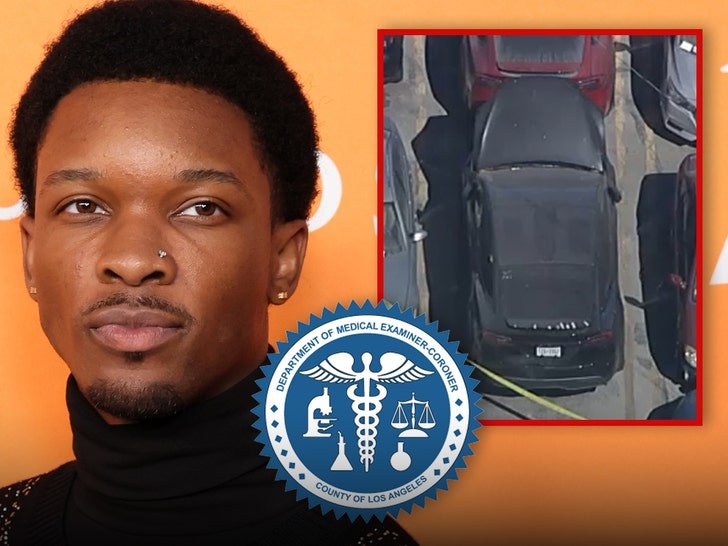 d4vd criminal case takes interesting turn murder victim idd as female 68c0e75a6c14c