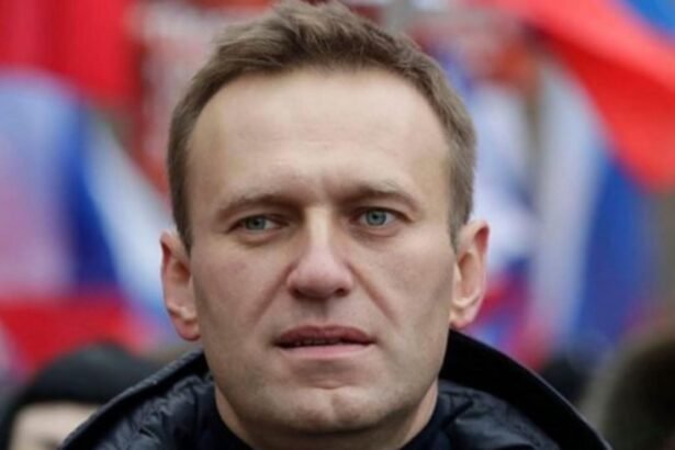 dezvaluiri socante vaduva lui navalnii aduce dovezi din strainatate alexei a fost otravit in inchisoare 68ca8bb2c9ec4