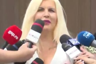 elena udrea democratii din sua prin ambasadorul gitenstein nu m au vrut presedinte in romania 68bde09940ebf