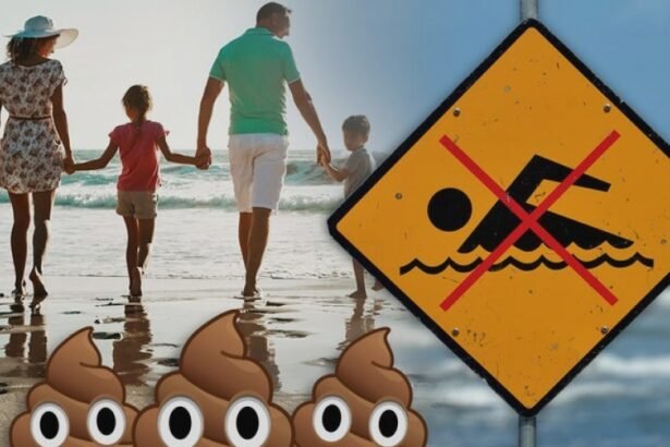 fecal contamination throws wrench into labor day beach plans 68b5ddc88d1f6