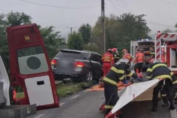 grav accident rutier pe dn1 intre o masina si un camion un barbat a murit iar o femeie a ajuns la spital 68b549123ebdb