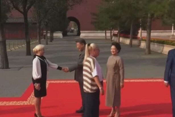 ilie bolojan prima reactie dupa ce adrian nastase si viorica dancila au fost in china si au aparut intr o poza de grup alaturi de vladimir putin 68b83eecd8a4d