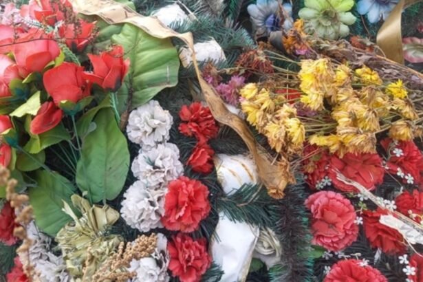 inmormantari prietenoase cu mediul la timisoara primaria lui fritz vrea sa interzica in cimitir coroanele si florile de plastic 68c15fe9a61e5