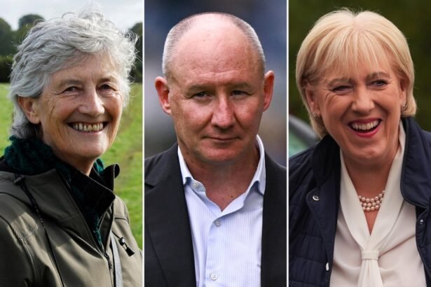 irish presidential candidates confirmed as three way race begins 68d4258da034b