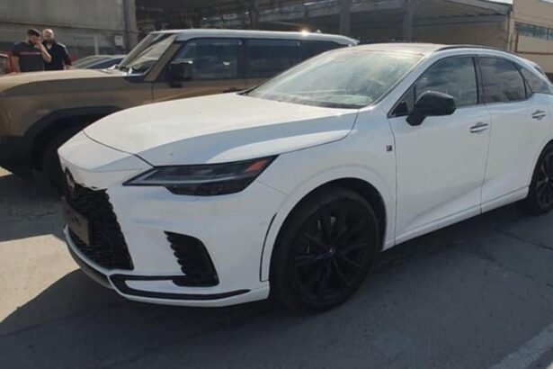 masini de lux furate din spania depistate in portul constanta inainte de a fi exportate in turcia 68cd4a28e5f6f