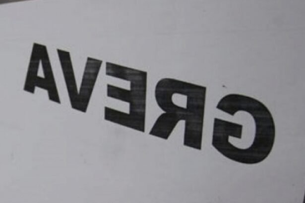 masurile lui bolojan blocheaza primariile peste 10 000 de angajati protesteaza fata de taierile anuntate de guvernanti 68b6b56e0a21e