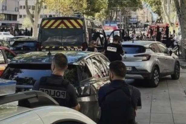 panica intr un hotel din marsilia cinci persoane au fost injunghiate de un tunisian atacatorul lichidat de politia franceza 68b731c80e9a3