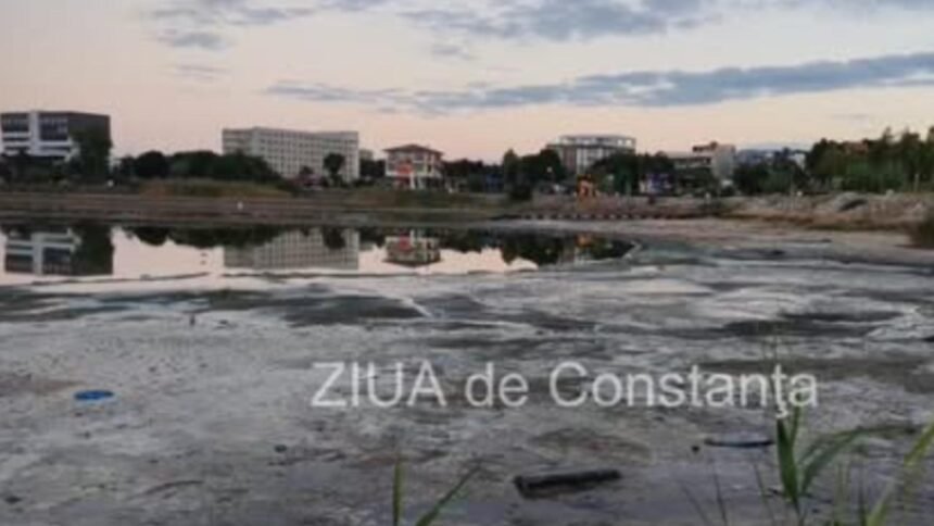 Lacul Techirghiol în criză: o analiză a efectelor secetei devastatoare 1 peisaj dezolant la techirgiol cat de mult a secat lacul imagini halucinante 68d0d65344a29