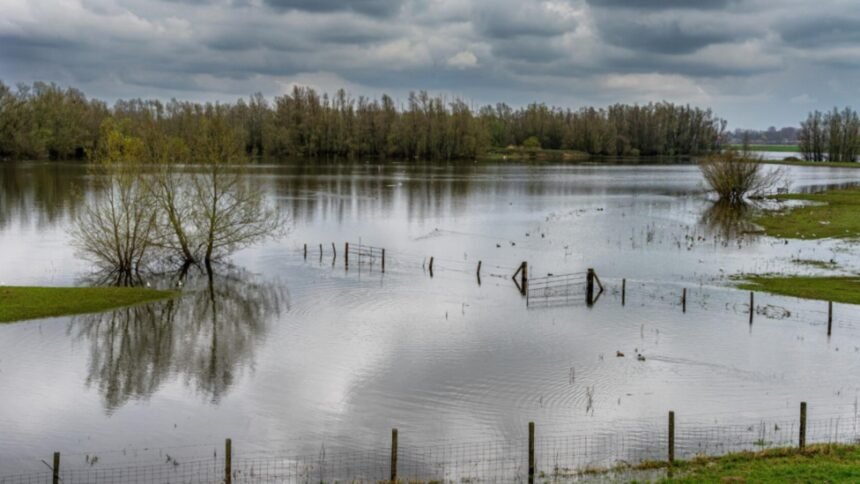 risc de viituri pe rauri din nordul si nord vestul tarii hidrologii au instituit cod galben 68c151f16c4fa