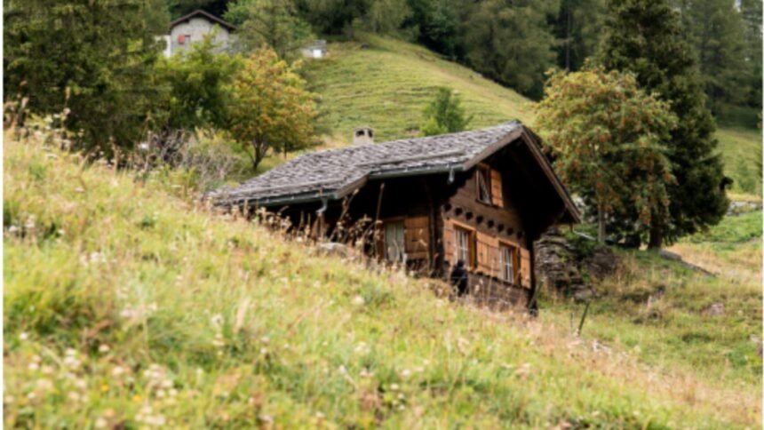 Satul pustiu cu un suflet neclintit: povestea unui bărbat dedicat să rămână acasă 1 satul din romania care a ajuns sa aiba un singur locuitor barbatul nu vrea sa se mute nici in ruptul capului 68c19141c7d35