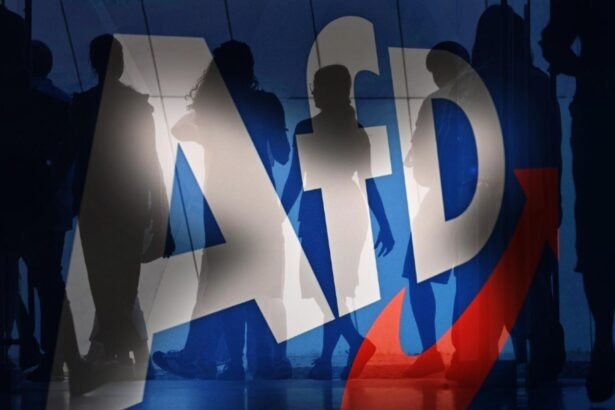 suveranistii germani de la afd conduc pentru prima data in sondajele de opinie la nivel national 68ca77f267166