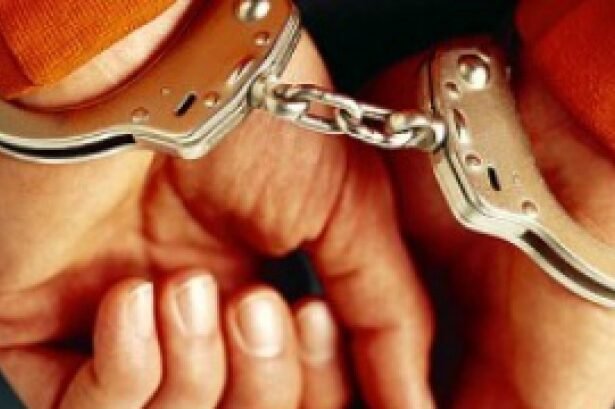 trei barbati arestati preventiv dupa scandalul sangeros din craiova 68c7ff6028ba1