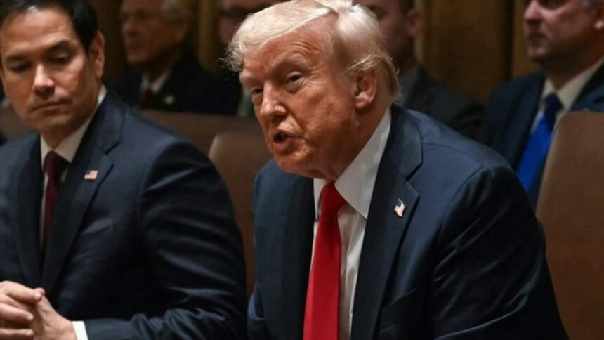 trump anunta noi taxe vamale pana la 100 pentru medicamente si tarife majorate pentru camioane si mobila 68d6ab56d194f