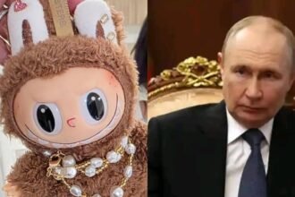 vladimir putin este fan labubu liderul de la kremlin a cerut o camera plina de papusi la hotel 68c1c13fd8368