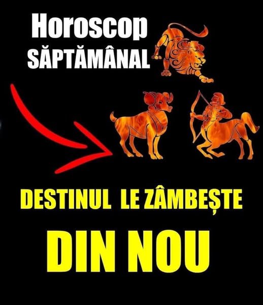 558973102 663038513548080 1743934445913868224 n