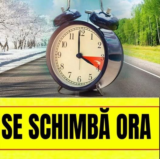 561255508 1400308314793383 5627559326895745271 n 1