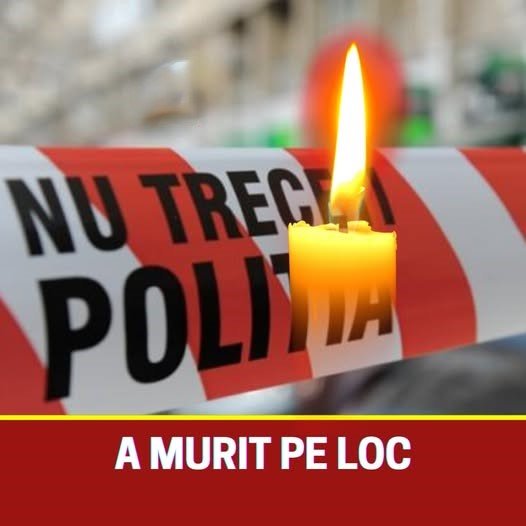 561301205 663297866855478 4997590456767156026 n