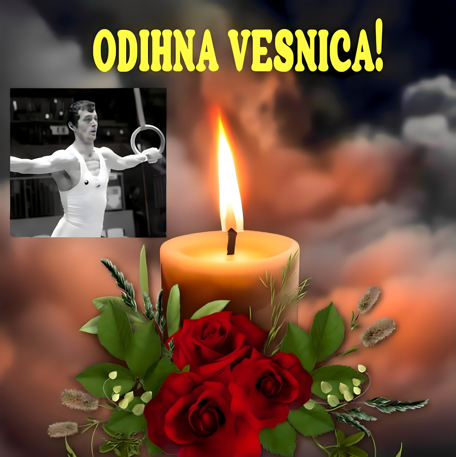 564561390 824260023295542 4533471364742161088 n