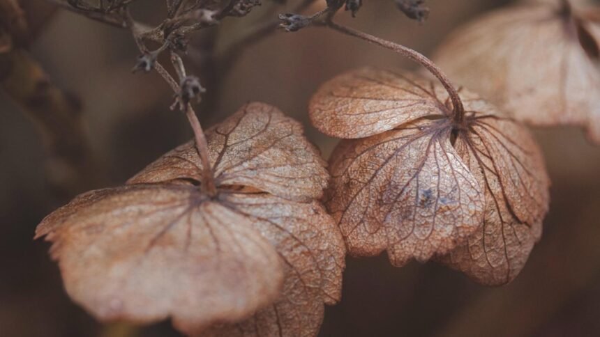 avertisment de la meteorologi un nou val de frig si ploi abundente va afecta romania 68e22e319fc71