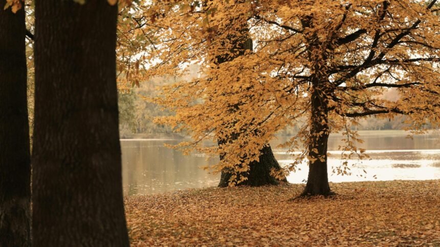 cum va fi vremea in luna octombrie cand scapam de frig si ploi 68e1311310380