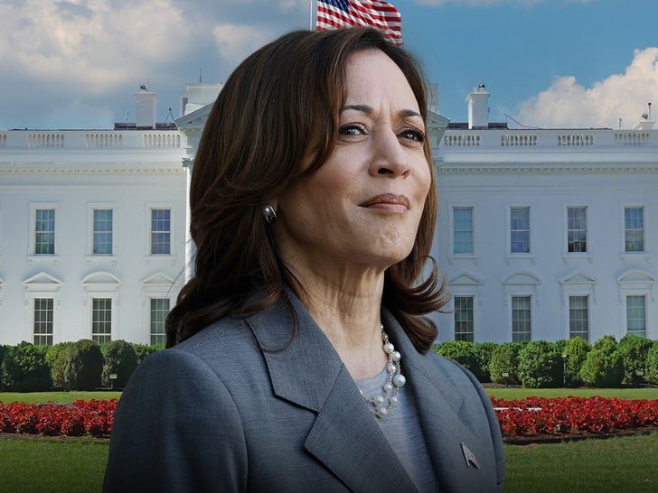 kamala harris teases presidential run 68fcfbbe8a8ac